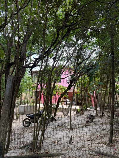 Casa, 3 quartos, 245 m² - Foto 1