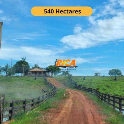 Fazenda, 540 hectares - Foto 1