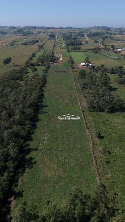 Chácara, 2 quartos, 6 hectares - Foto 3