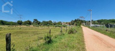 Terreno, 3 hectares - Foto 4
