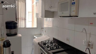 Casa, 5 quartos, 64 m² - Foto 5
