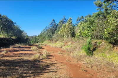 Terreno, 443 m² - Foto 5