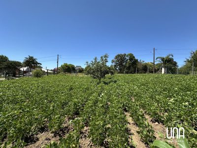 Terreno, 528 m² - Foto 4