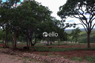 Loteamento e Condomínio, 2 hectares - Foto 2