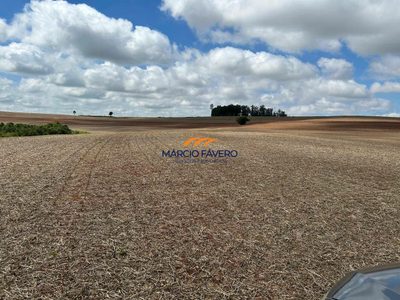 Fazenda, 278 hectares - Foto 5