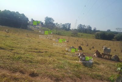 Terreno, 64 hectares - Foto 4