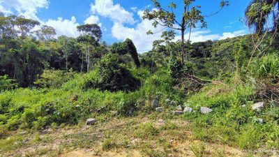 Terreno, 4 hectares - Foto 1