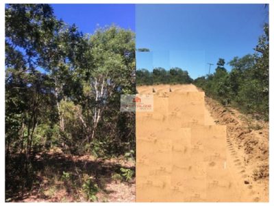 Fazenda, 4000 m² - Foto 4