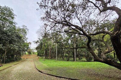 Terreno, 5050 m² - Foto 3