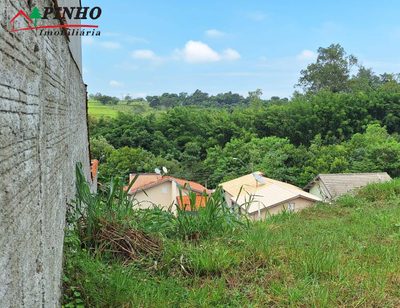 Terreno, 303 hectares - Foto 3