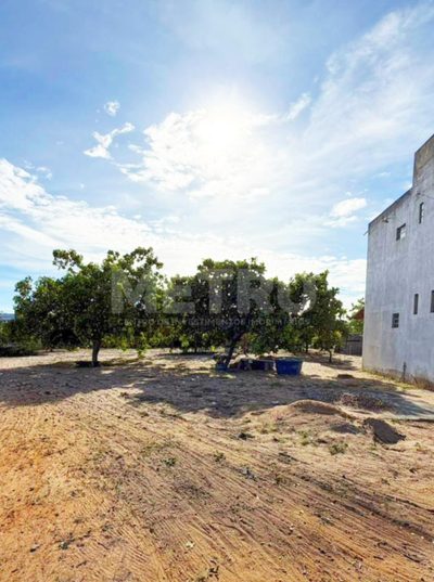 Sítio, 3 quartos, 4000 m² - Foto 3