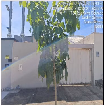 Casa, 2 quartos, 180 m² - Foto 1