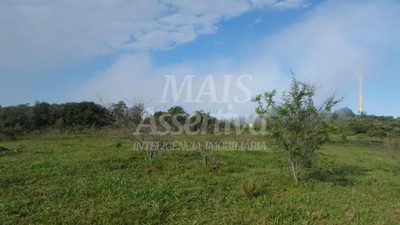 Chácara, 14 hectares - Foto 3