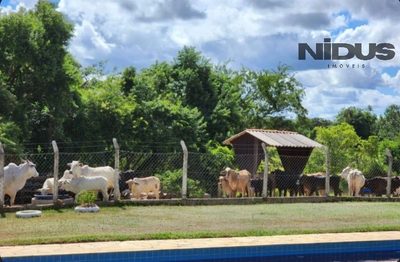 Sítio, 4 quartos - Foto 5