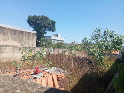 Terreno, 300 m² - Foto 5