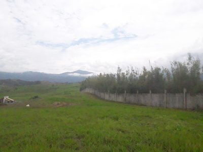 Terreno, 1000 m² - Foto 1