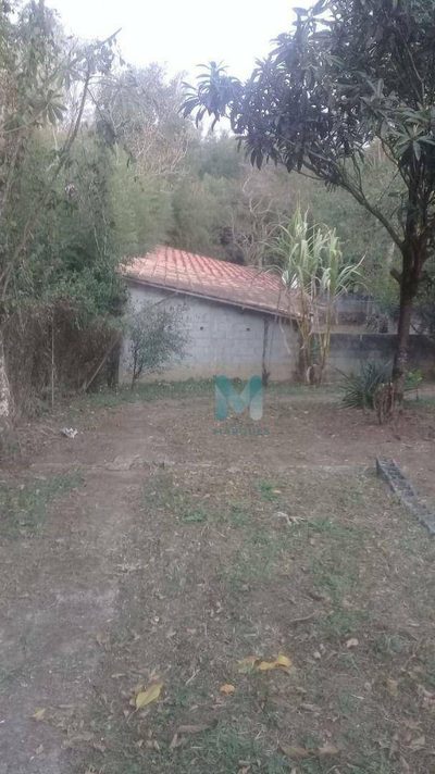 Chácara, 2 quartos, 1560 m² - Foto 3