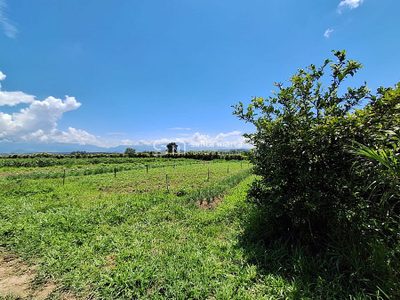 Terreno, 720 m² - Foto 4