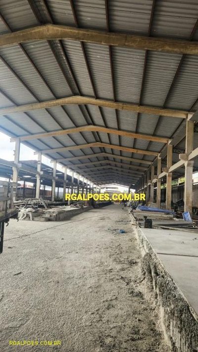 Depósito-Galpão, 4000 m² - Foto 3