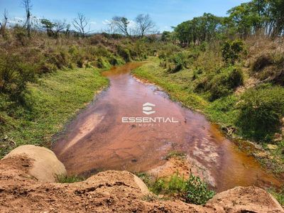 Fazenda, 2500 hectares - Foto 2