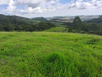 Fazenda, 179 hectares - Foto 5