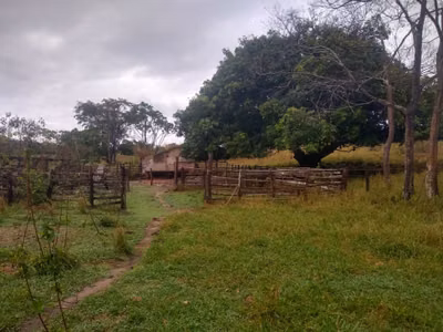 Chácara, 1 quarto, 390 hectares - Foto 1