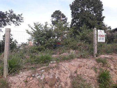 Terreno, 1009 m² - Foto 4