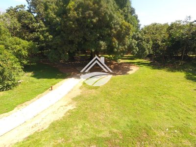 Terreno, 606 m² - Foto 2