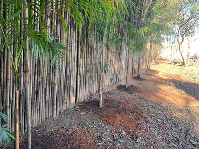 Terreno, 2000 m² - Foto 4