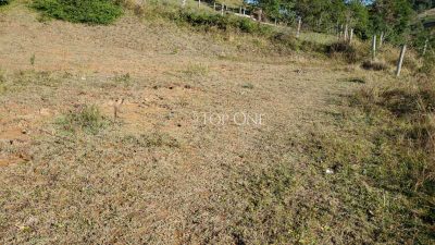 Terreno, 317 m² - Foto 1