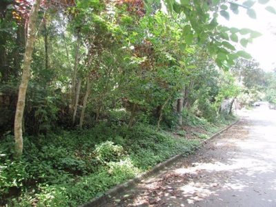 Terreno, 500 m² - Foto 5