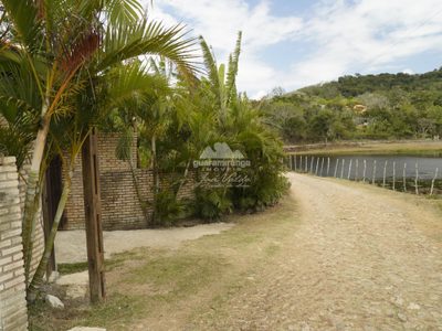 Casa, 4 quartos, 515 m² - Foto 4