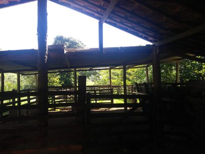 Sítio, 2 quartos, 30 hectares - Foto 2