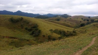 Fazenda, 200 m² - Foto 5
