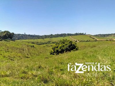 Fazenda, 30 quartos - Foto 4