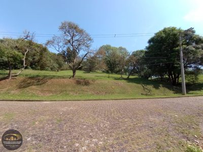Terreno - Foto 4