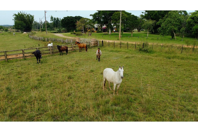 Fazenda - Foto 3