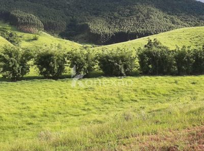 Fazenda, 400 m² - Foto 3