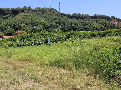 Terreno, 1350 m² - Foto 2