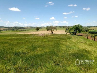 Sítio, 1 quarto, 8 hectares - Foto 1