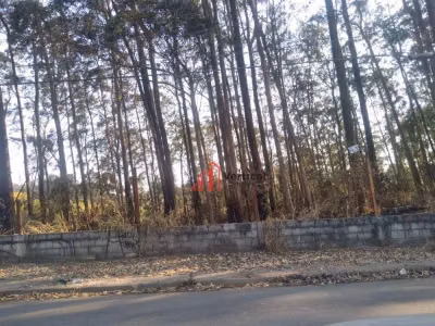 Terreno, 11 hectares - Foto 1