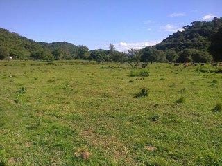 Fazenda, 43 m² - Foto 1