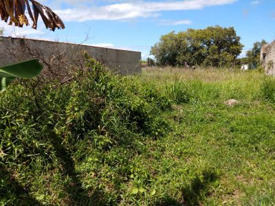 Terreno, 360 m² - Foto 3