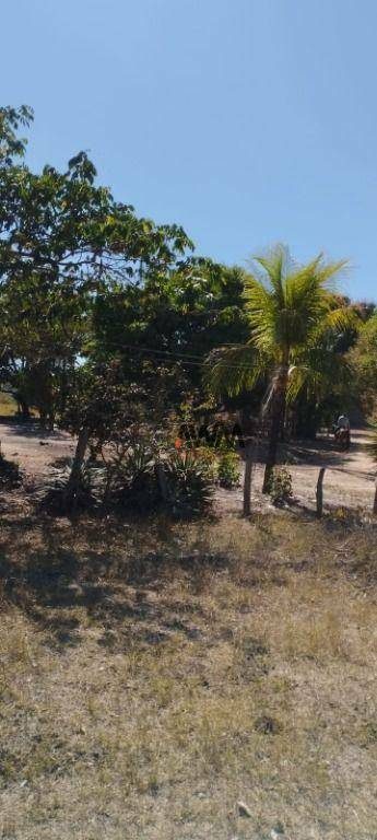 Fazenda, 1157 hectares - Foto 3