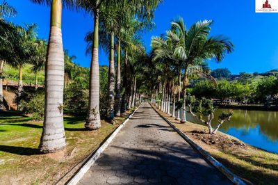 Sítio, 3 quartos, 3 hectares - Foto 3