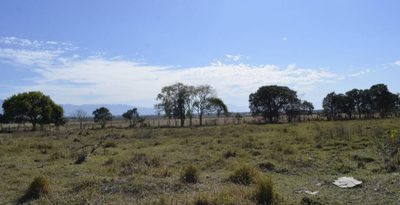 Terreno, 4000 m² - Foto 5