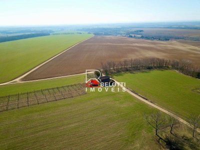 Fazenda, 3373 hectares - Foto 1