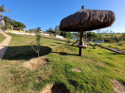Chácara, 1000 m² - Foto 3