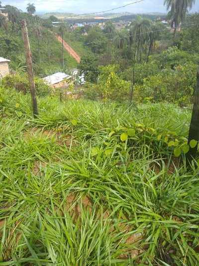 Terreno, 1700 m² - Foto 4