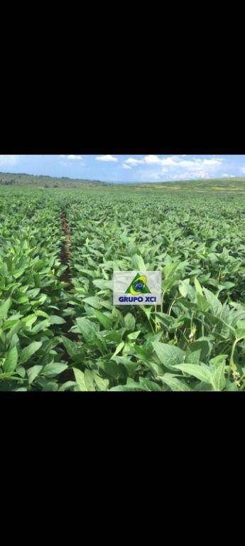 Fazenda, 400 hectares - Foto 1